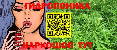 мяу мяу мука Гулькевичи